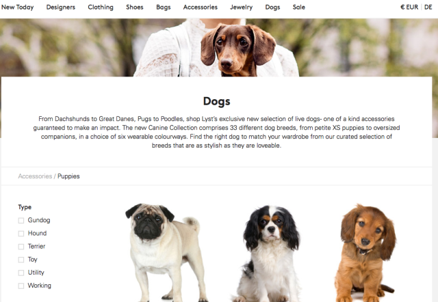 Il sito di abbigliamento online che vende i cani come “accessori fashion”.  O forse no