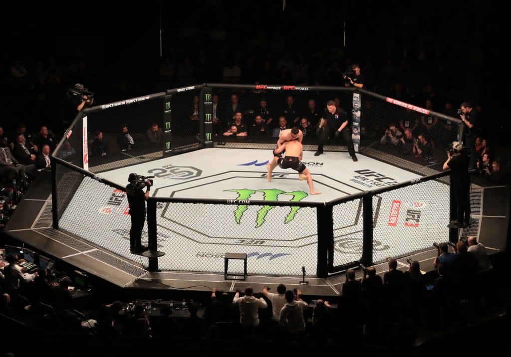 A general view of Paul Craig in action against Magomed Ankalaev at The O2 Arena, London (Simon Cooper/PA) (PA Archive)