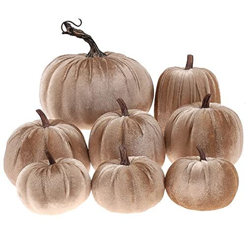 19) Gresorth 8pcs Assorted Size Fake Handmade Champagne Velvet Pumpkins