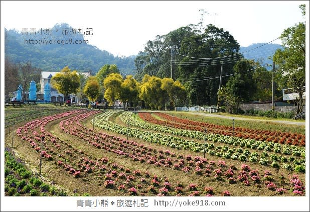 大溪水晶教堂》桃園親子一日遊 夢幻外拍景點富田花園農場