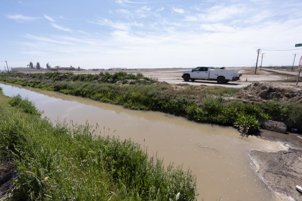 Vegetation grows along a water-filled irrigation drain leading towards the Salton Sea Friday, March 22, 2024, near Calipatria, Calif. The Imperial Irrigation District created a plan to scale back draws from the Colorado River in a bid to preserve the waterway following years of drought. But a tiny, tough fish got in the way. The proposal to pay farmers to temporarily stop watering forage crops this summer has environmentalists concerned that irrigation drains could dry up, threatening the fish, she said. (AP Photo/Gregory Bull)