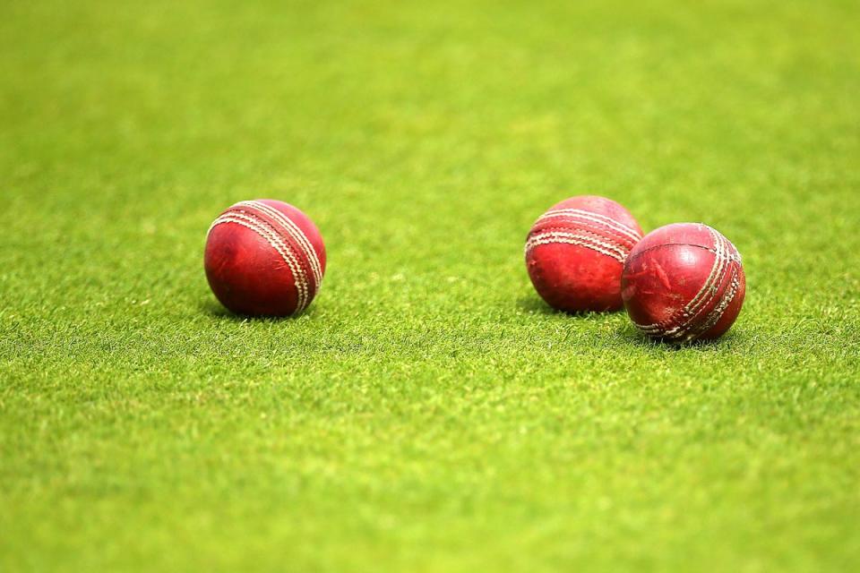 Cricket should reach out to survivors in the sport and undertake a “deep dive” into abuse, according to a football abuse survivor (Steven Paston/PA) (PA Archive)