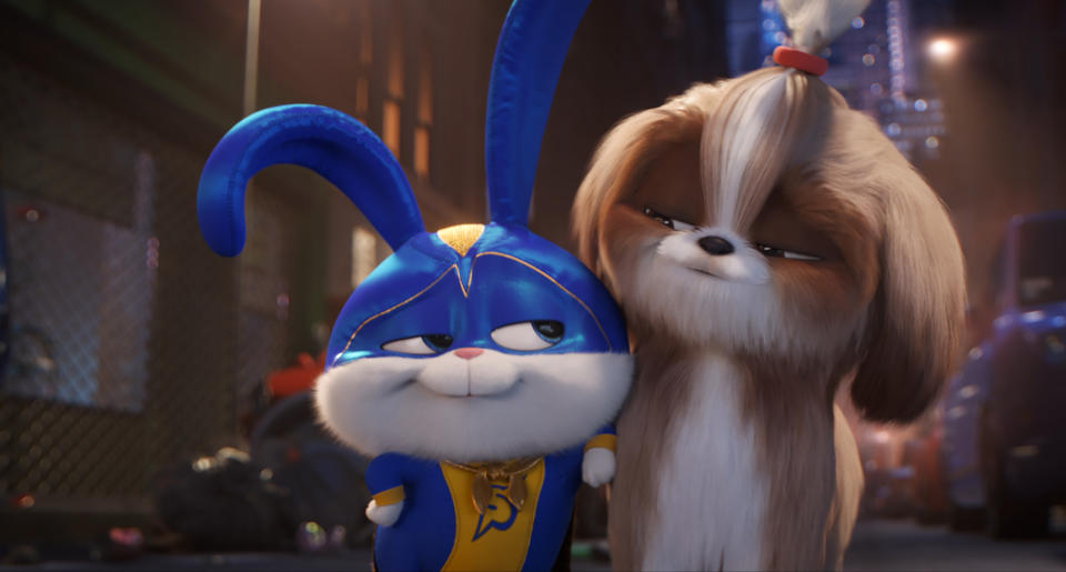 This image released by Universal Pictures shows Snowball, voiced by Kevin Hart, left, and Daisy, voiced by Tiffany Haddish in a scene from "The Secret Life of Pets 2." (Illumination Entertainment/Universal Pictures via AP)