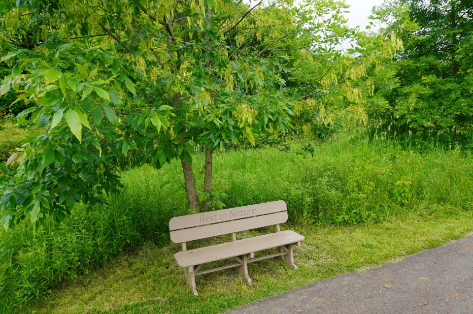 A Rest in Nature sign is on a bench under an ash tree at Barnes Preserve.