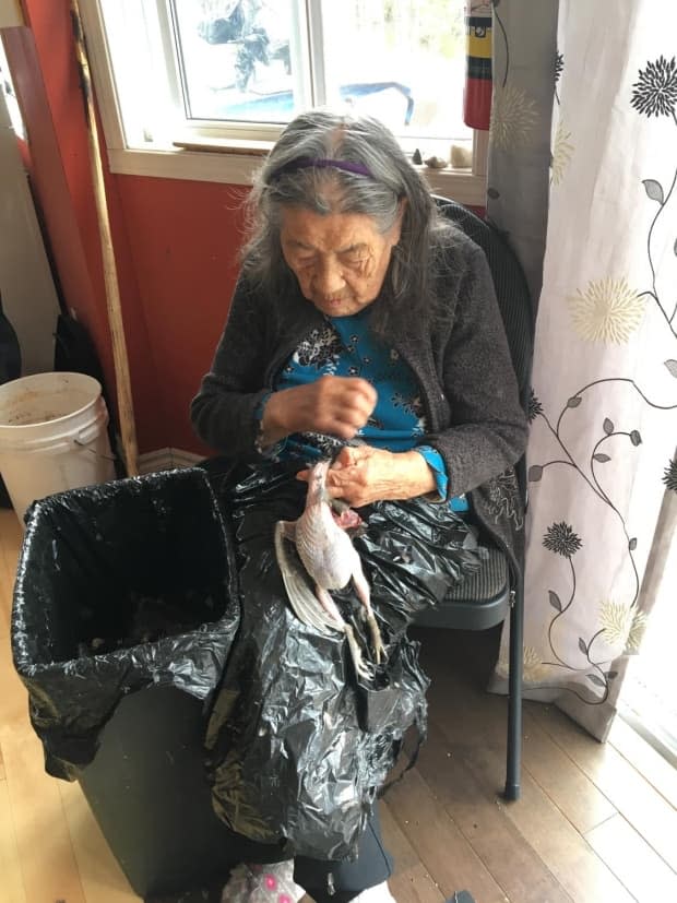 Couchees Iserhoff likes to help out at the camp by plucking and cleaning the harvest birds.