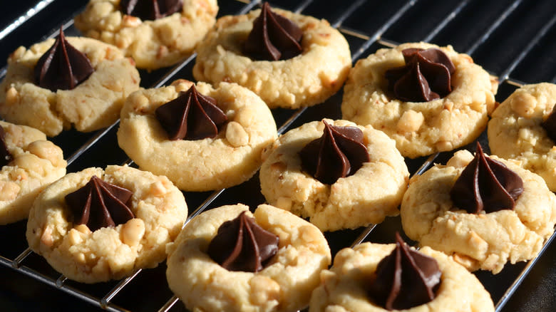 Hazelnut thumbprint cookie filled with piped dollops of ganache