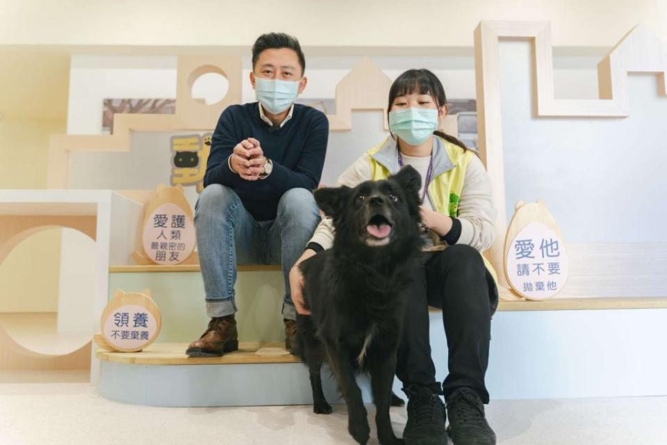 竹市府動保所鼓勵民眾認養犬貓取代購買、今年更推出成功認養犬貓的主人可獲一年免費寵物保險。（記者曾芳蘭攝）