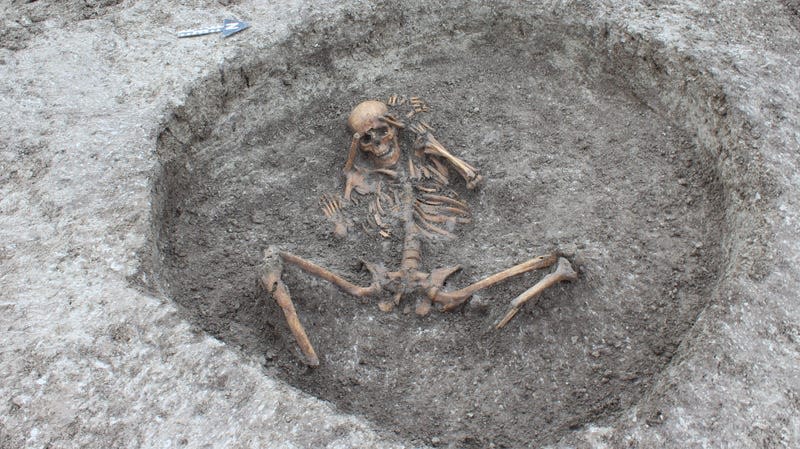 A female skeleton with bound hands and removed feet, found by a British water utility company in 2019. - Photo: <a class="link " href="https://gizmodo.com/utility-workers-in-england-stumble-upon-grisly-graves-o-1834056214" rel="nofollow noopener" target="_blank" data-ylk="slk:Thames Water;elm:context_link;itc:0;sec:content-canvas">Thames Water</a>