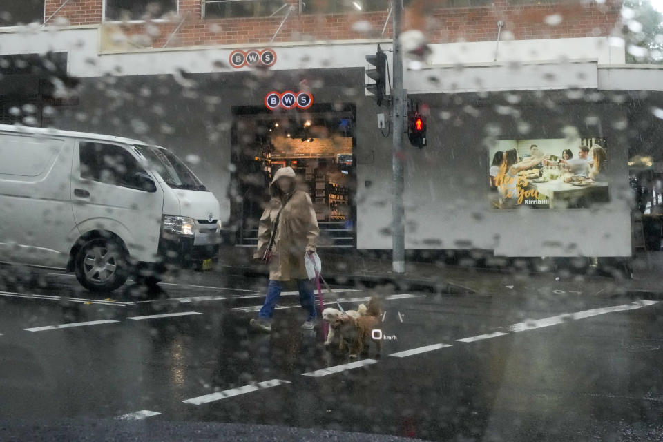 A woman walks her dogs in the rain in Sydney, Australia, Thursday, Oct. 6, 2022. Sydney notched up its wettest year in over 160 years of records, Weatherzone's Andrew Miskelly said, recording 2199.8mm at 1.10pm. The previous record was 2194mm in 1950. (AP Photo/Mark Baker)