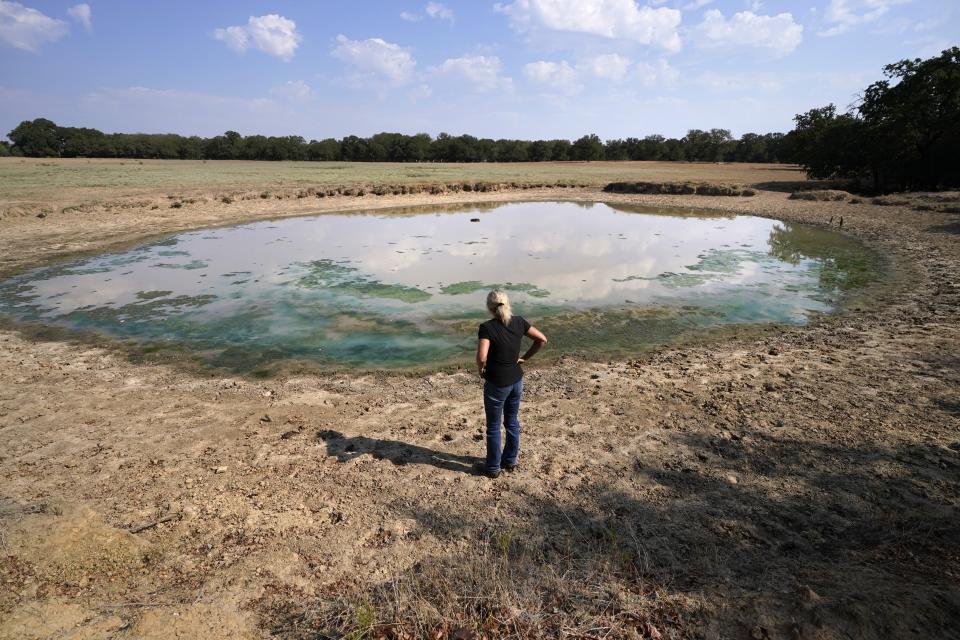 Gilda Jackson surveys an area that has dried, and dropped a few feet due to drought conditions affecting the region and her property in Paradise, Texas, Monday, Aug. 21, 2022. Many farmers, including Jackson, might see a benefit in the next 50 years from installing irrigation infrastructure. (AP Photo/Tony Gutierrez)