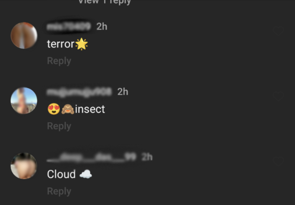 Comments from porn bots on Instagram read 