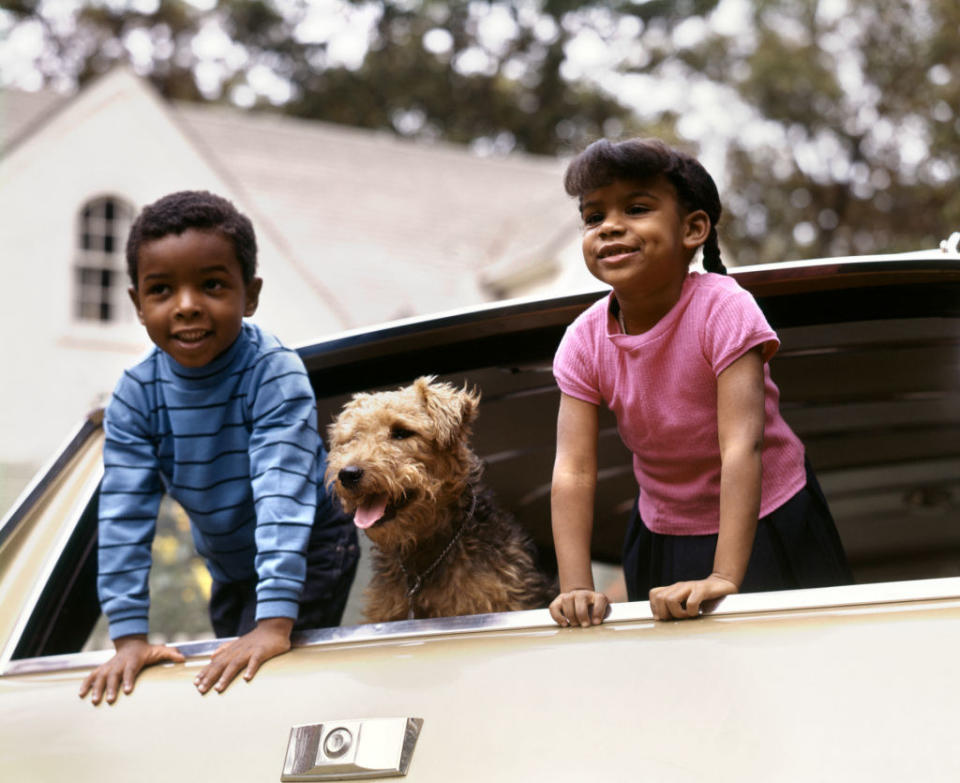 Two kids and a dog staring outside the back window