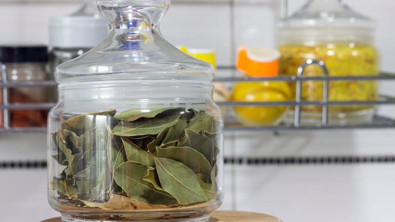 Bay leaves inside a jar