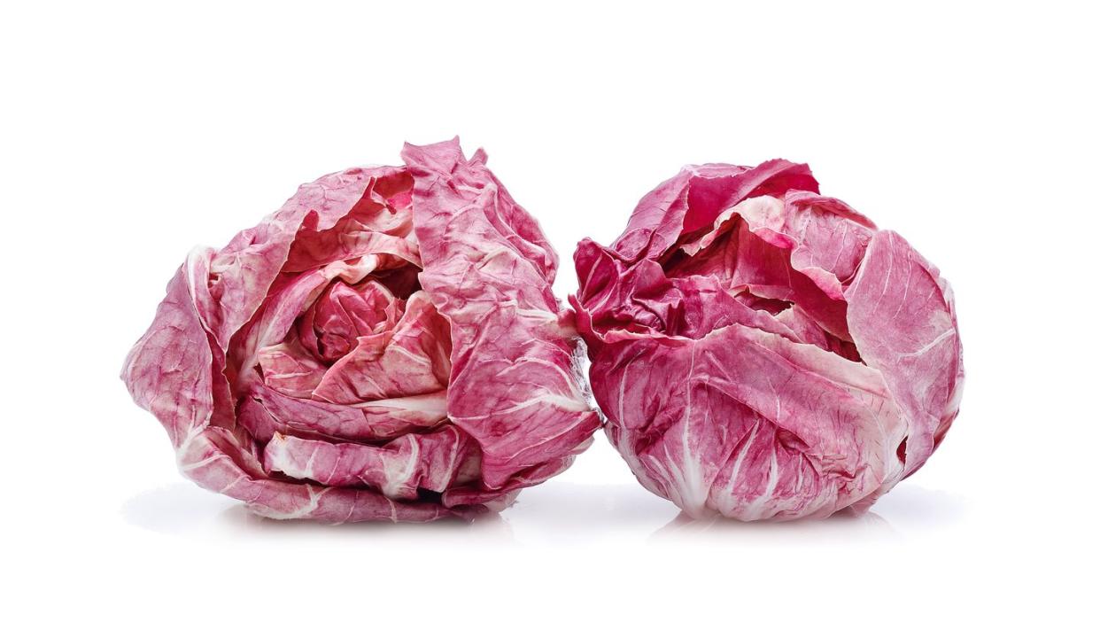 radicchio, red salad isolated on white background