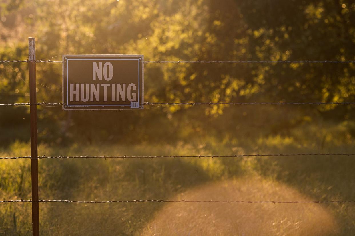Forest Service Challenges Controversial Hunting Ban on Public Lands in Colorado photo