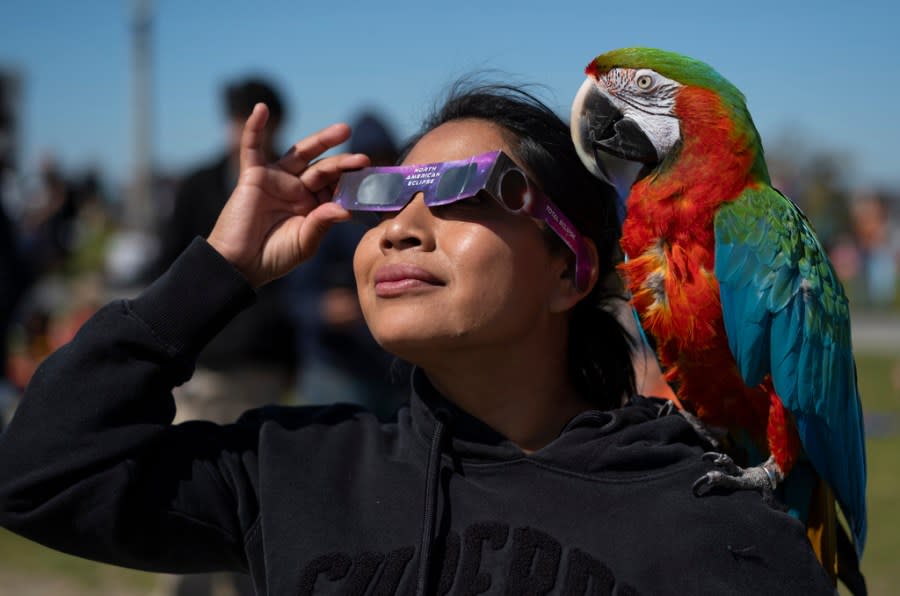 Isabel Franco, left, and her parrot Alex watch a solar eclipse from Griffith Observatory on Monday, April 8, 2024, in Los Angeles. (AP Photo/Andy Bao)