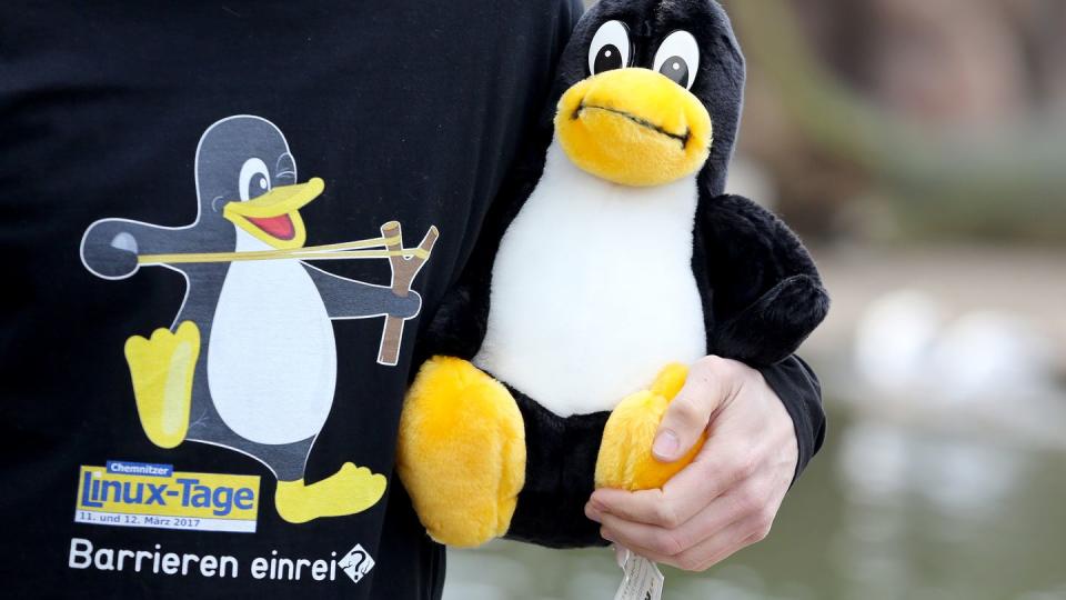 Ein Linux-Maskottchen, der Pinguin Tux.