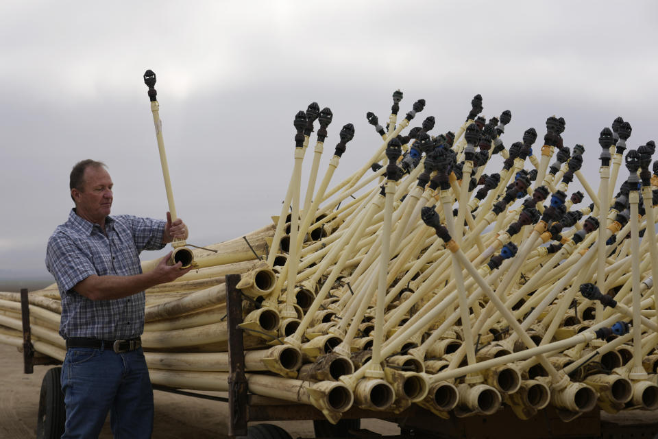 Jeff Huckaby, president and CEO of Grimmway, shows new, water efficient pipes used to irrigate the company's carrot crop, Thursday, Sept. 21, 2023, in New Cuyama, Calif. (AP Photo/Marcio Jose Sanchez)