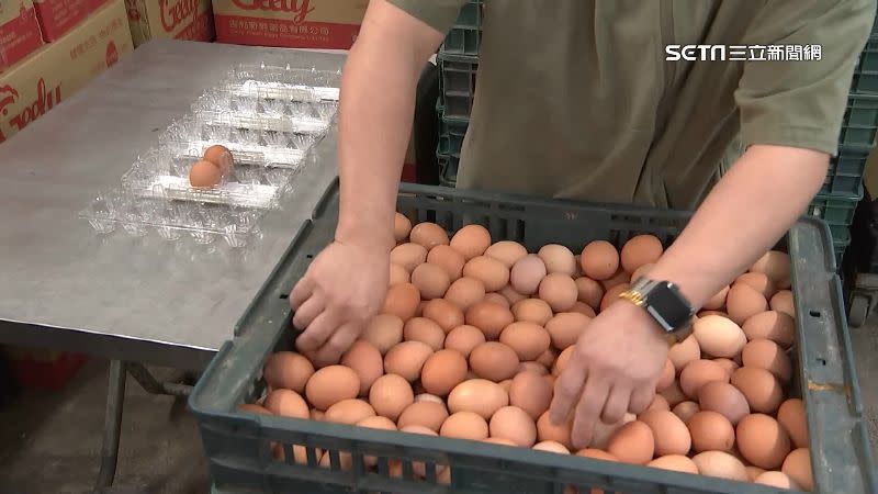 蛋商公會指出，雞蛋減產速度趕不上過剩幅度，蛋商為了減輕庫存壓力低價賣出。（圖／資料圖）