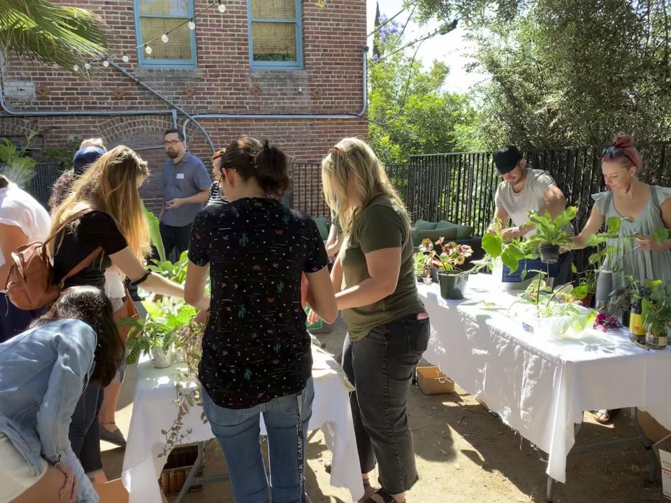 In this undated photo, provided by Ana Carlson, plant enthusiasts gather for a plant swap in Los Angeles. In the last couple years, plant swaps have proliferated in cities throughout the country. (Ana Carlson/Sill Appeal via AP)