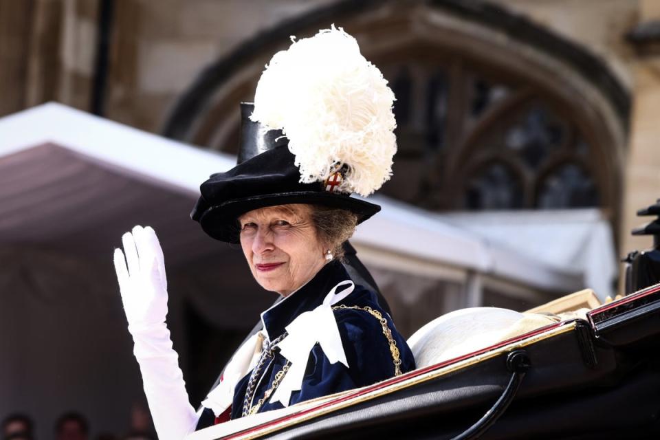 Princess Anne (Getty Images)