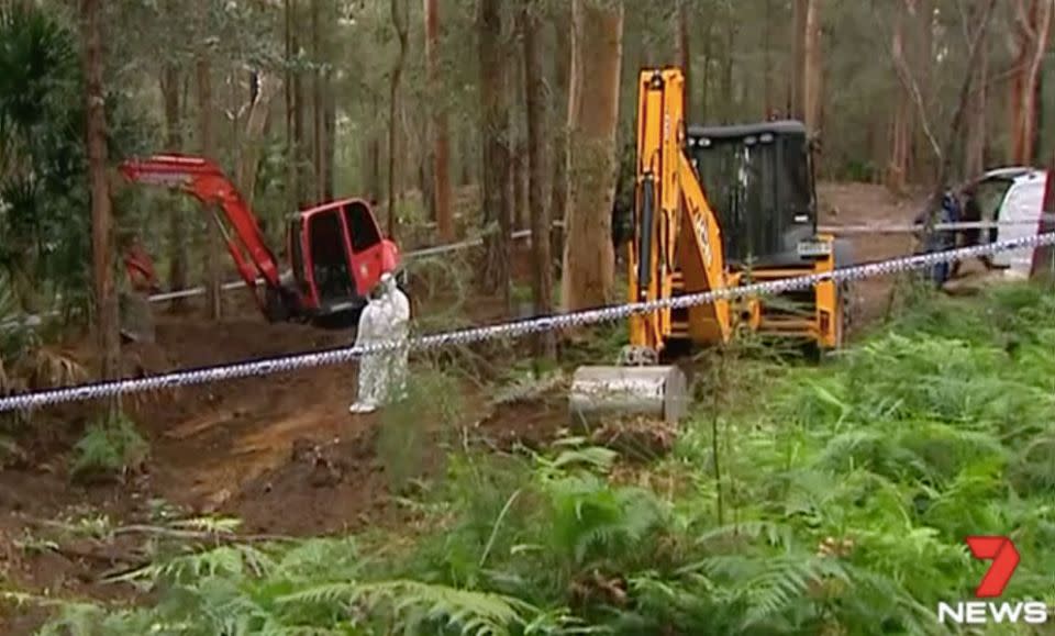The search site in Royal National Park. Photo: 7 News