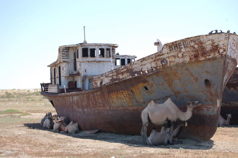 Dank der unersättlichen Gier nach mehr Baumwolle, schaffte es die Modeindustrie aus einem einstigen Meer eine Wüste zu machen.