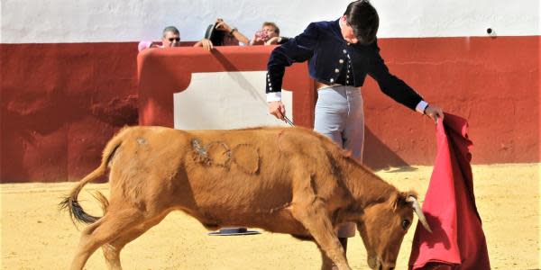 Aprueban en México iniciativa que prohíbe las corridas de toros