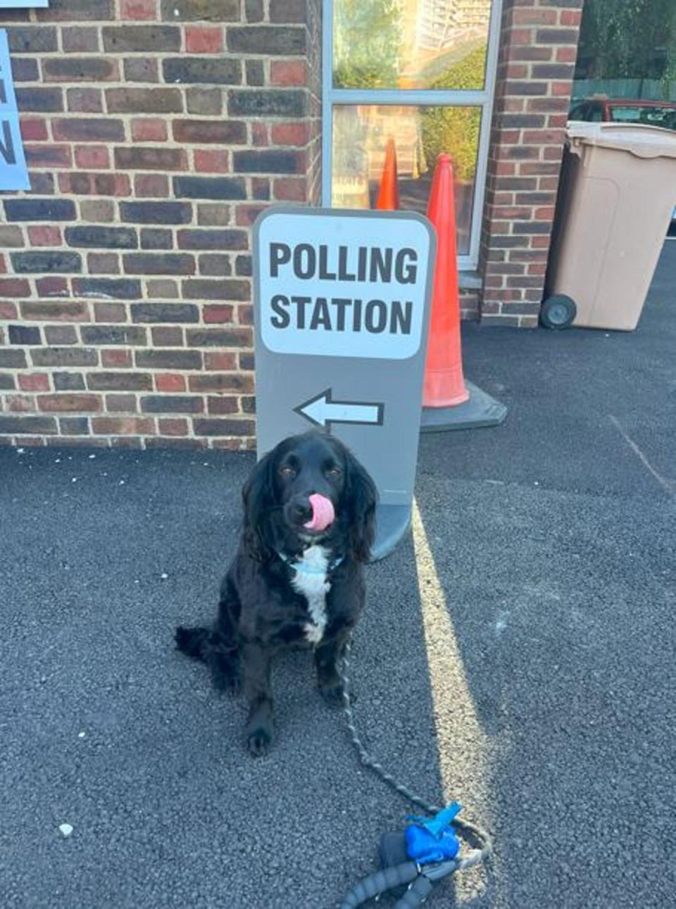 Murphy looking excited about voting (Rachel Franklin / submitted)