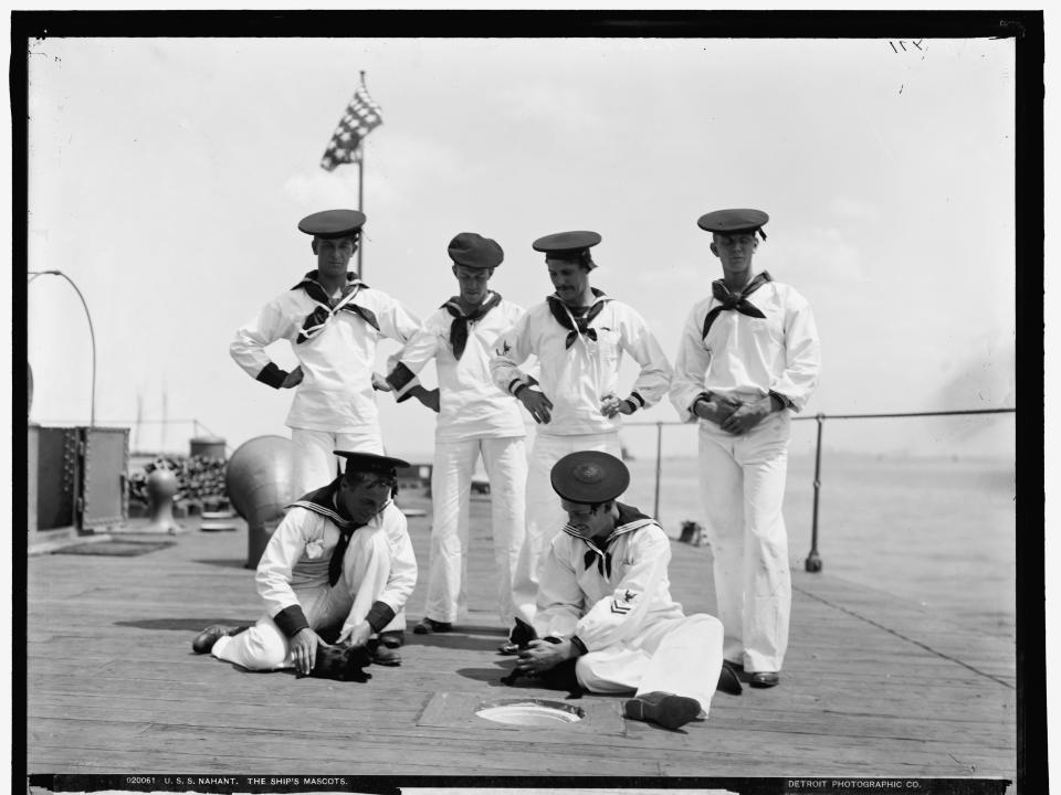 During prohibition, federal officials learned to look for cats scurrying away to hiding holes on a ship, often inadvertently leading investigators to the ship's store of illegal booze