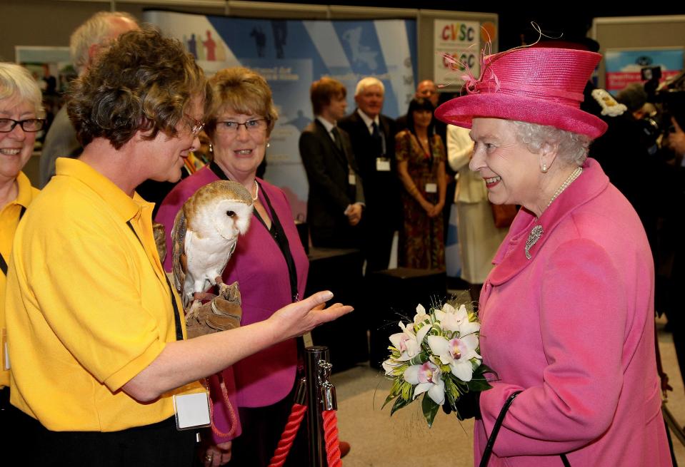 Queen Elizabeth meets an owl