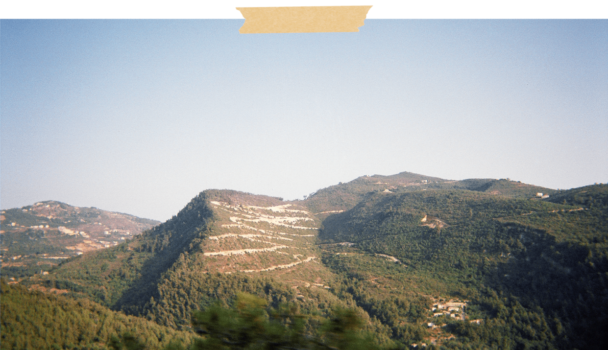 View of the mountains in our family village. (Courtesy Zeina Zeitoun / TODAY Illustration / Getty Images)