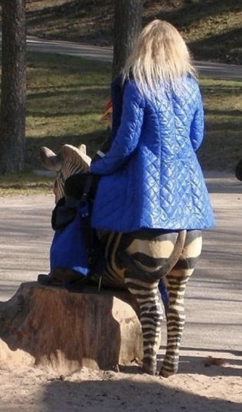 Woman in blue coat riding a zebra-striped horse