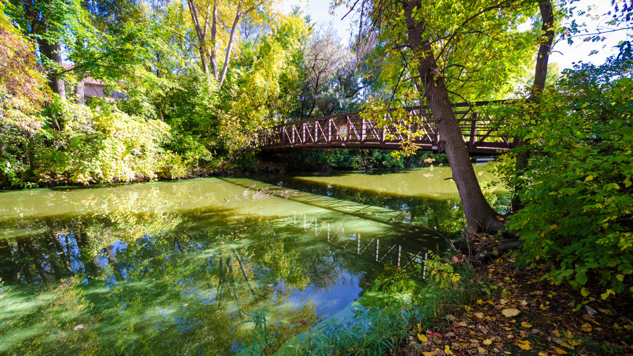 Bridge overlooking a small creek at the Maple Grove Arboretum on a sunny autumn day.