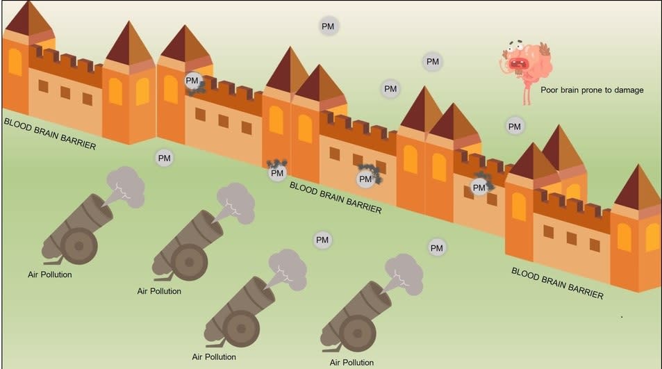 空氣中的微粒物質能穿越並損害血腦屏障，可能導致阿茲海默症。圖／Yashika Kapoor ccBy4.0）