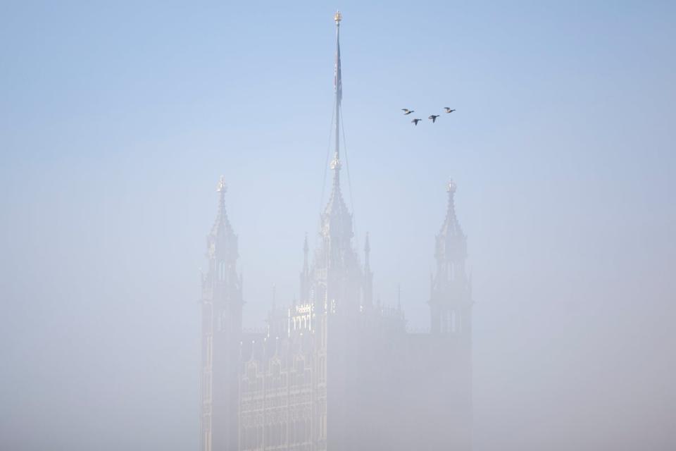 (Getty Images)