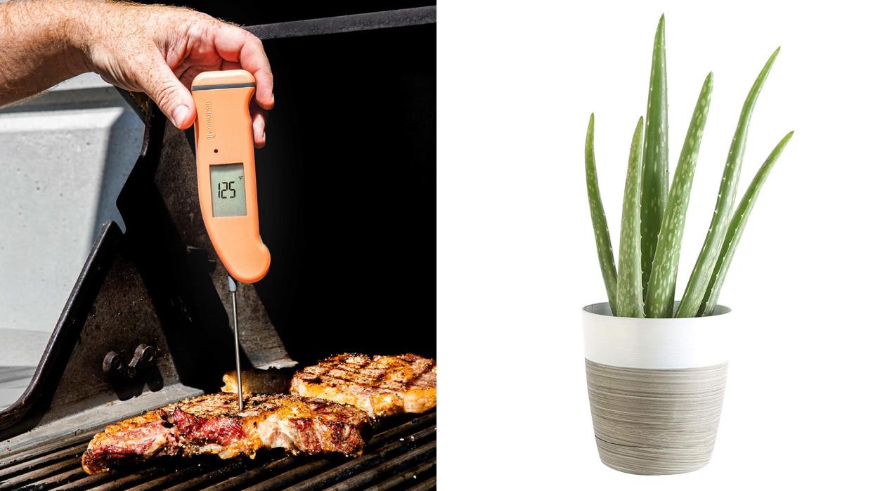 This Thursday, save on live plants, Anthropologie sale items, meat thermometers, and more online.