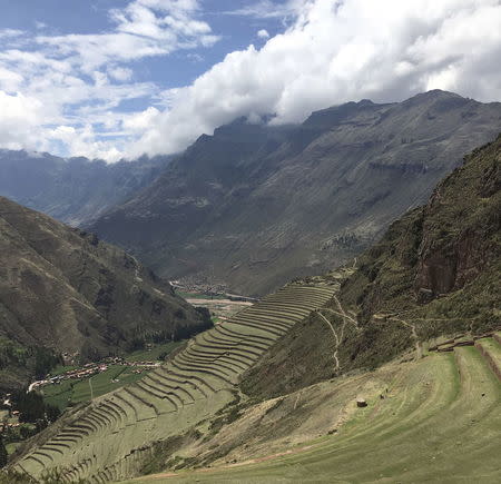 Later Andean farmers adapted their mountainous environment for agriculture through terraced farming shown in this undated handout photo released on April 6, 2016 by Amy Goldberg. REUTERS/Amy Goldberg/Handout via Reuters