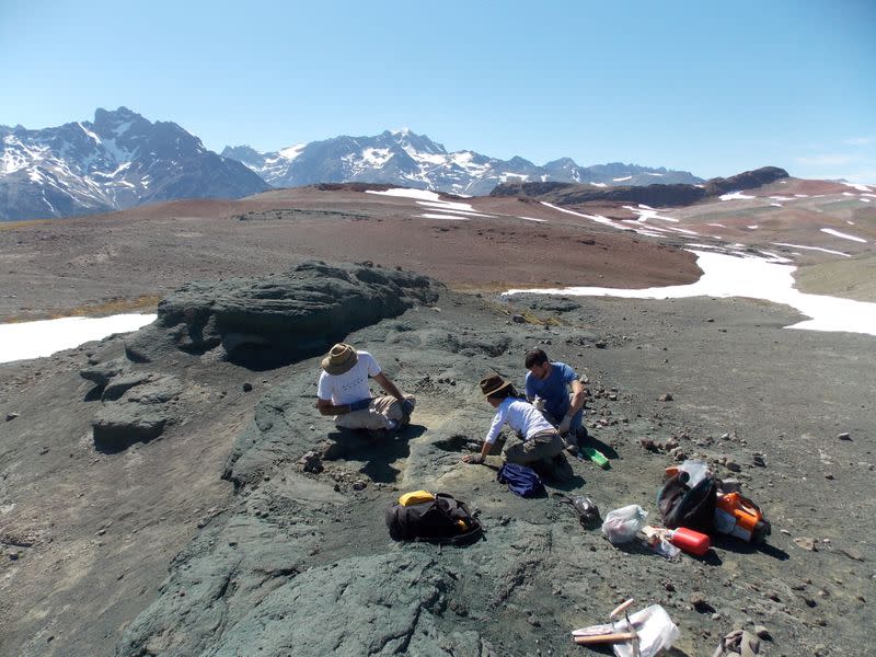 Technicians Marcelo Isasi, Marcela Milani, and paleontologist Nicolas Chimento work on the excavation of pieces of the Burkesuchus mallingrandensis, in the Aysen region of Chilean Patagonia