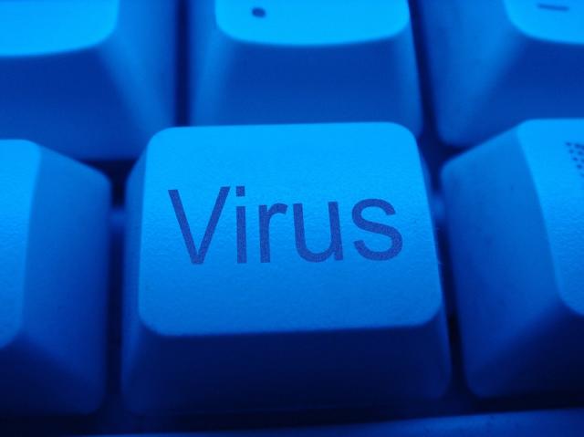 first computer virus