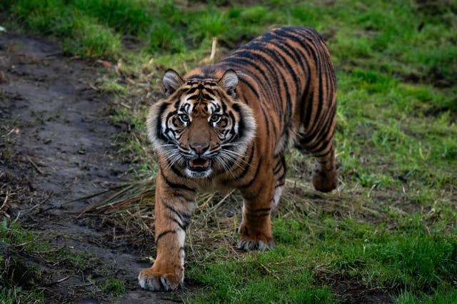 ZSL London Zoo annual stocktake