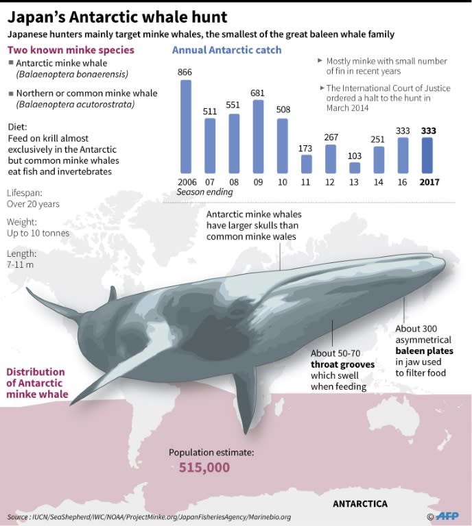 Japanese whaling in the Antarctic