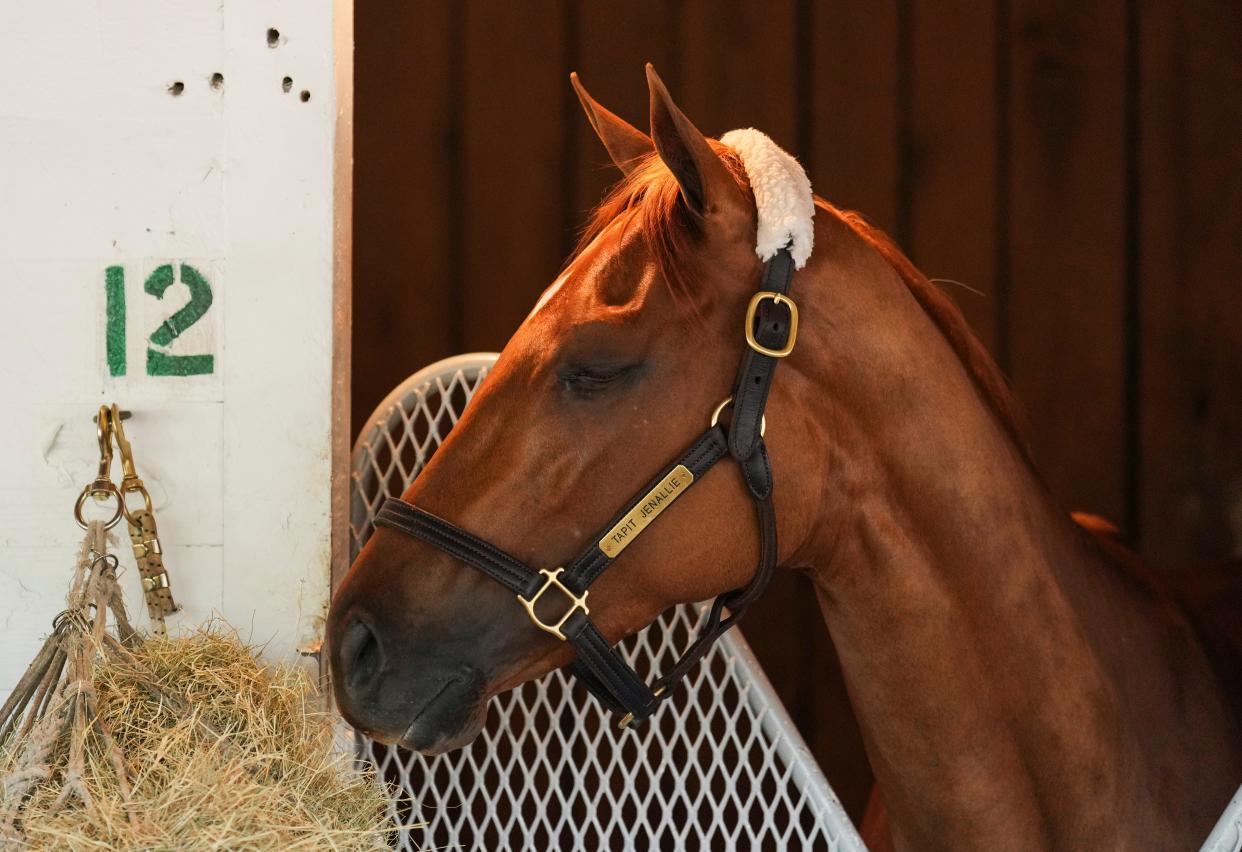 Tapit Jeanallie was scratched for Friday's Kentucky Oaks race by trainer Eddie Mulligan Jr. early Thursday at Churchill Downs in Louisville, Ky. She had 30-1 odds. May 2, 2024