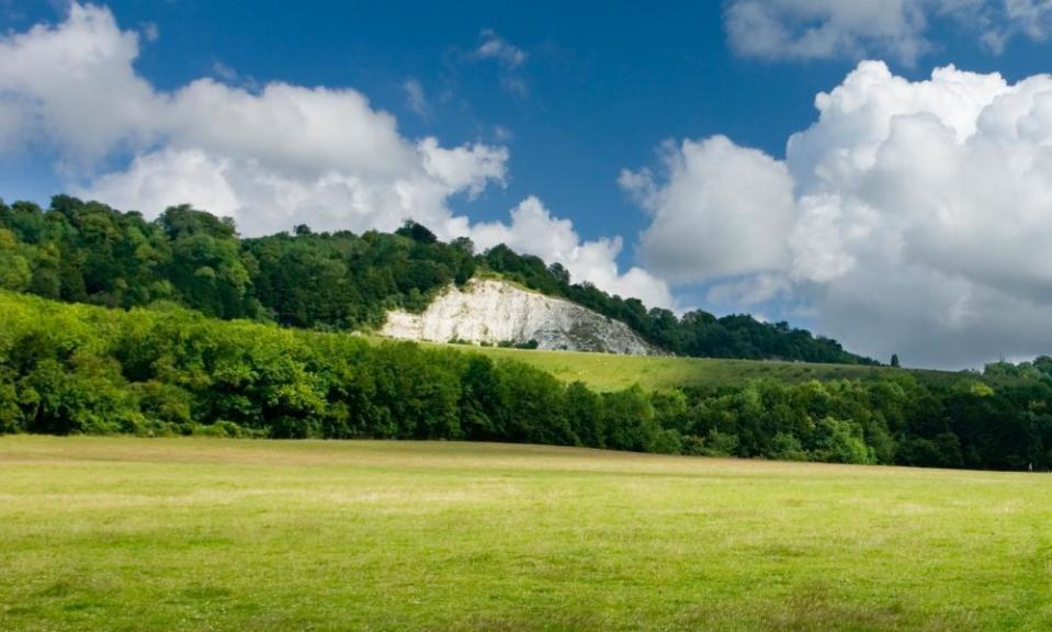 Chalk pit on North Downs Way, Surrey.