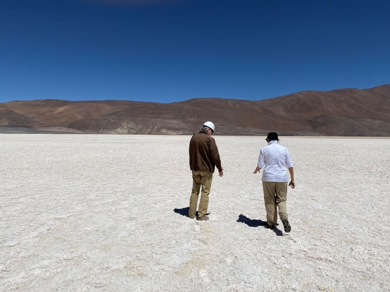 Chile's Minister of Mining Baldo Prokurica walks on Infieles Salt Flat in the Atacama Desert
