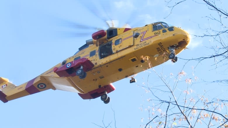 Canadian Forces carries out medevacs in Labrador, on Burin Peninsula