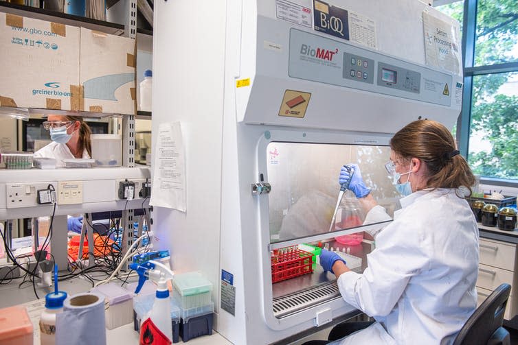 A woman scientist sat in a lab using a pipette behind a protective screen.