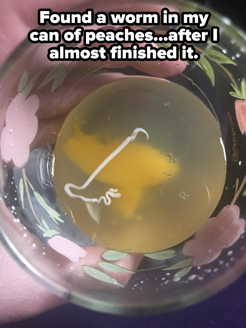 Liquid with some peach slices and a white squiggly object in a cup, with caption, "Found a worm in my can of peaches after I almost finished it"