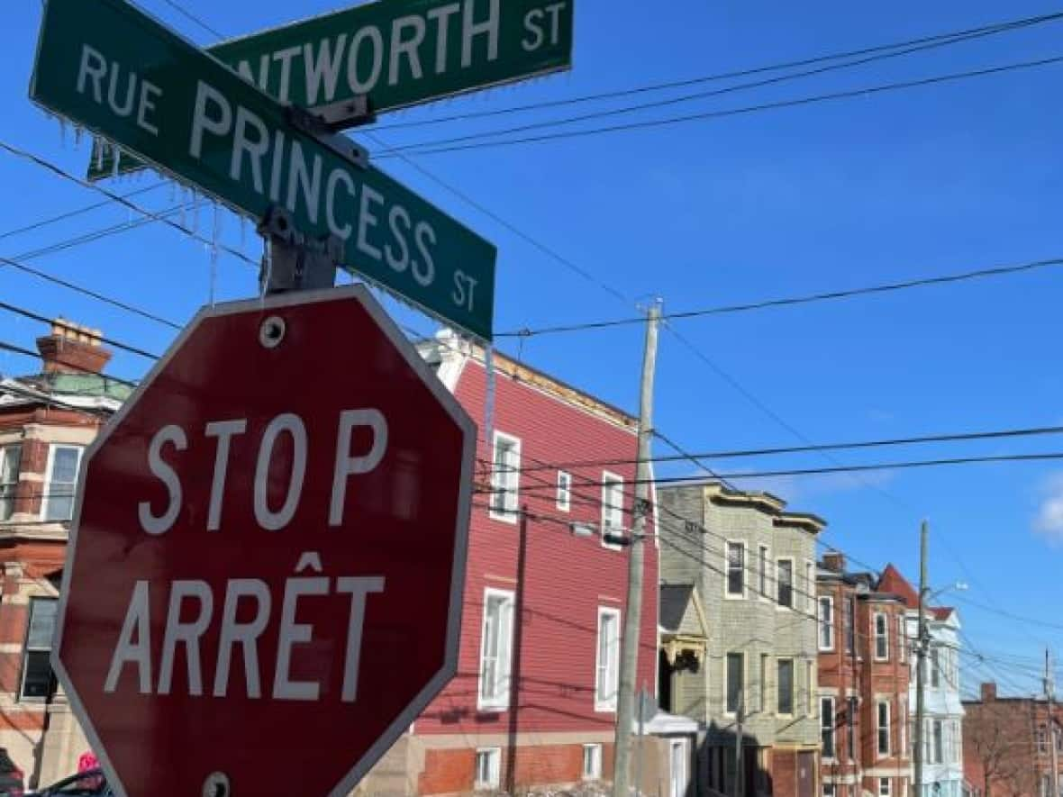 More than 180 rental properties in Saint John's central uptown core have sold to new buyers since 2019, including 18 buildings up and down Princess Street. (Robert Jones/CBC - image credit)