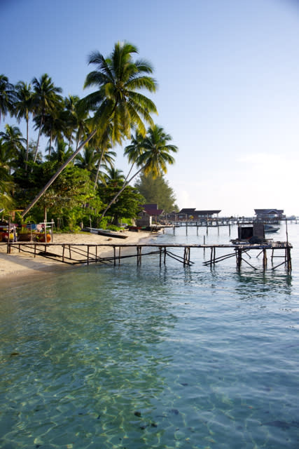 Turtle riding in Derawan Islands, East Kalimantan